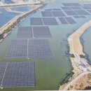 이원호 태양광발전소 이미지