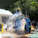 감나무골 물놀이공원 이미지