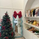 꾸하 | 미추홀 크리스마스 트리가 있는 감성 애견동반 카페 꾸하 방문후기