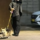 선미포차 - 의정부시 | 선미포차