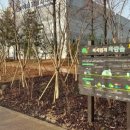 수원-1447 이미지