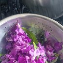 포근한방문요양센터 이미지