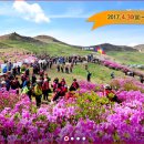 황매산국민여가캠핑장 이미지