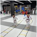 신세계 태권도 이미지