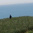 가천민박