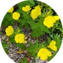 탄천종합운동장(체육회관) 이미지