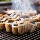 바다장어 이미지