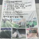 삼남면작천정운동장 운동시설 | 울산 언양아이랑 가볼만한곳 너와함께할개 애견카페 애견호텔 함께할만하네요