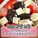 요거트 아이스크림의 정석 관평점 네이버블로그