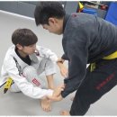 화랑 합기도 & 주짓수 이미지