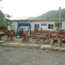 은석캠핑장 이미지