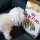 송악 동물병원 이미지