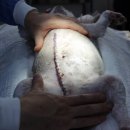 금빛동물병원 이미지