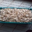 뿌리마트 이미지