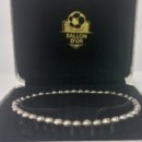 자성스포츠 이미지