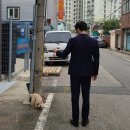 BOB 애견용품 아울렛 이미지