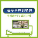 늘푸른한방병원