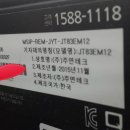 금마블루베리농장