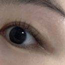 행정용 6번 | [울산 북구 속눈썹펌] 뷰티바이연, 내돈내산 시술 후기