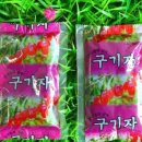 드래곤 키즈 풀빌라 펜션 이미지