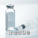 독감 예방접종 오해와 진실 이미지