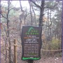 봉화산둘레길 이미지