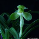 채운산방 이미지