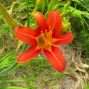 북면지역아동센터 이미지