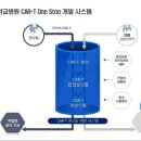 Car랑