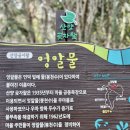 제주랑아이랑