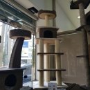 펫츠로그 양산점 이미지