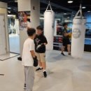 칠곡MS복싱 이미지