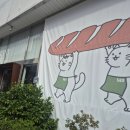 589 | 전주분위기 좋은 플랜테리어카페-'589커피'