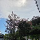 홍대용과학관 | 천안 홍대용 과학관 방문 후기 / 홍대용과 양자물리학의 접점