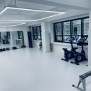 컬러킥앤복싱 이미지