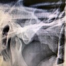 길치과의원 이미지