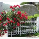 KBC방송국 앞 이미지