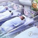 로타입 MBN
