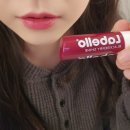 드영미술관 | 3/10 벨기에 앤트워프 / 안트베르펜, 빌르공원, 왕립미술관, 카페, Albert Heijn, 휴식.