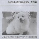핸드폰나라 이미지