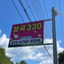 330 | 괴산 쌍곡계곡 펜션 계곡 앞 쌍곡330펜션 1박 후기