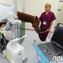 진흥동물병원 이미지