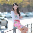 선화 이미지