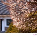 충렬사 입구 이미지