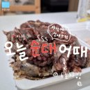 도촌유치원 | [성남/야탑] 야탑 여수동 순대트럭 "오늘순대어때 6호차" 야식 추천