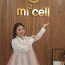 미르메딕스 이미지