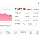 세미코스메틱