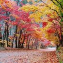 나의 집사 이미지