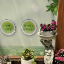 휴테라피 이미지