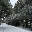 각하목장 이미지